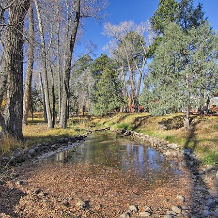 Cozy Colorado Cabin With Deck, Grill And River Access! Buena Vista Esterno foto