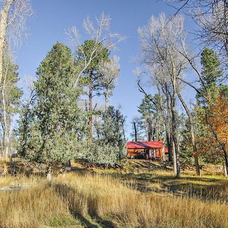 Cozy Colorado Cabin With Deck, Grill And River Access! Buena Vista Esterno foto