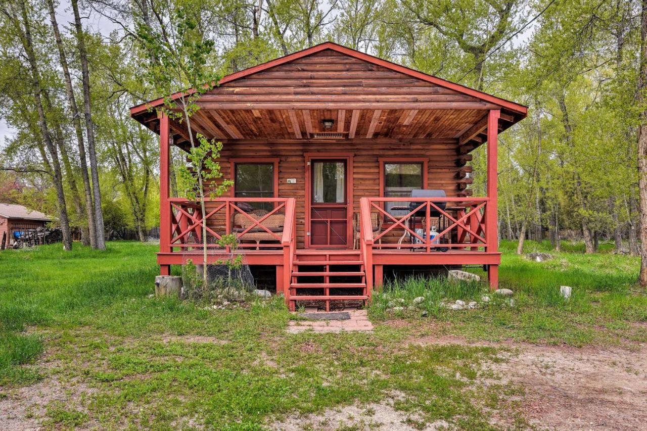 Cozy Colorado Cabin With Deck, Grill And River Access! Buena Vista Esterno foto
