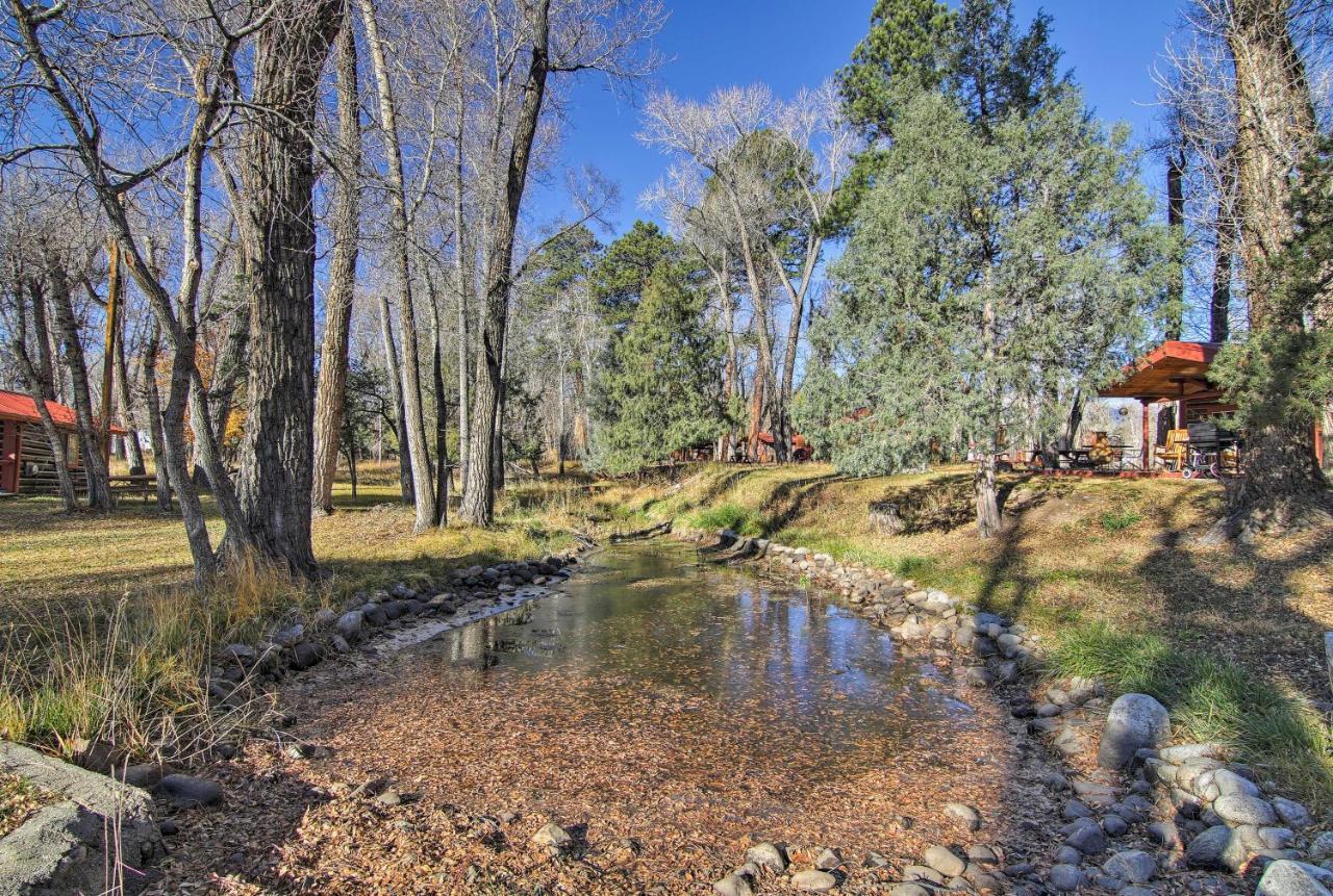 Cozy Colorado Cabin With Deck, Grill And River Access! Buena Vista Esterno foto