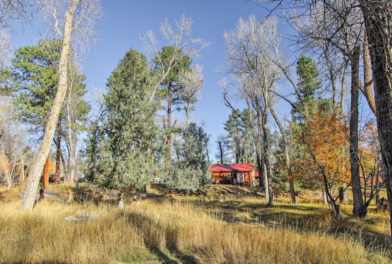 Cozy Colorado Cabin With Deck, Grill And River Access! Buena Vista Esterno foto